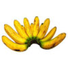 Banana (Lacatan)
