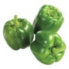 Bell Pepper Green