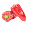 Bell Pepper Red