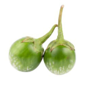 Eggplant Round