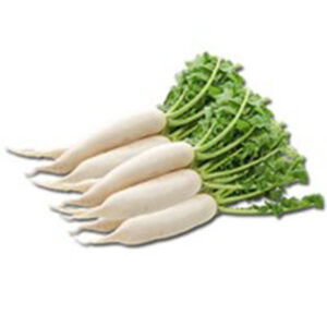 Korean Radish