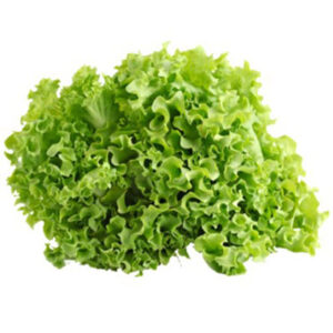 Lettuce (Green Ice)