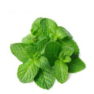 Mint Leaves