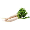 Radish
