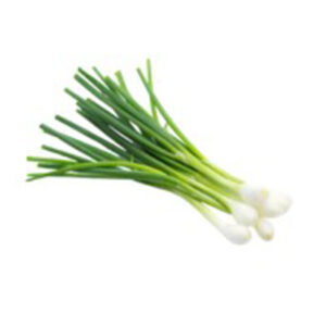 Spring Onion