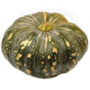 Squash