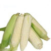 White Corn