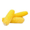 Yellow Corn
